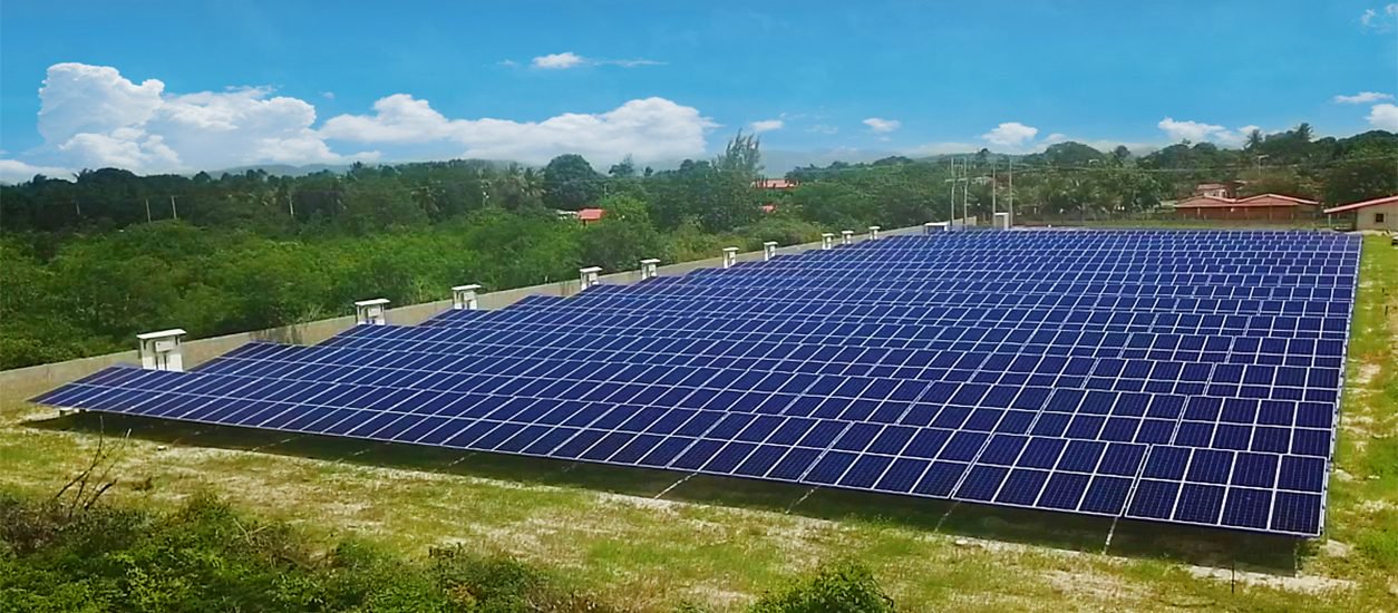 Muitas placas solares distrubuidas em cima da grama em um campo ao fundo uma floresta